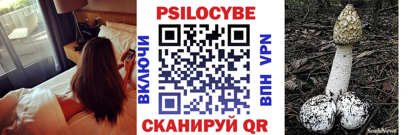 хочу наркоту Рыльск Галлюциногенные грибы мицелий